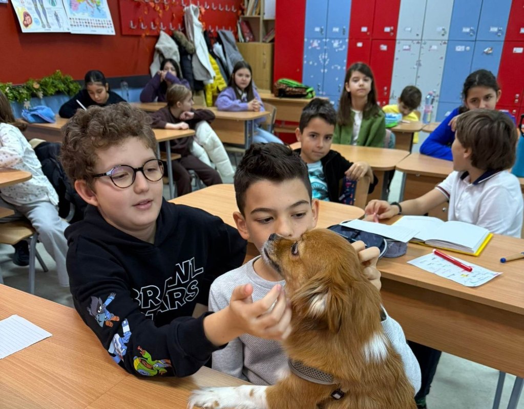 Un opţional cu şi despre animale 353534