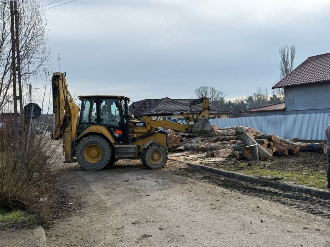 Campania „Ajută un bătrân să zâmbească” în Protoieria Urlați 354034