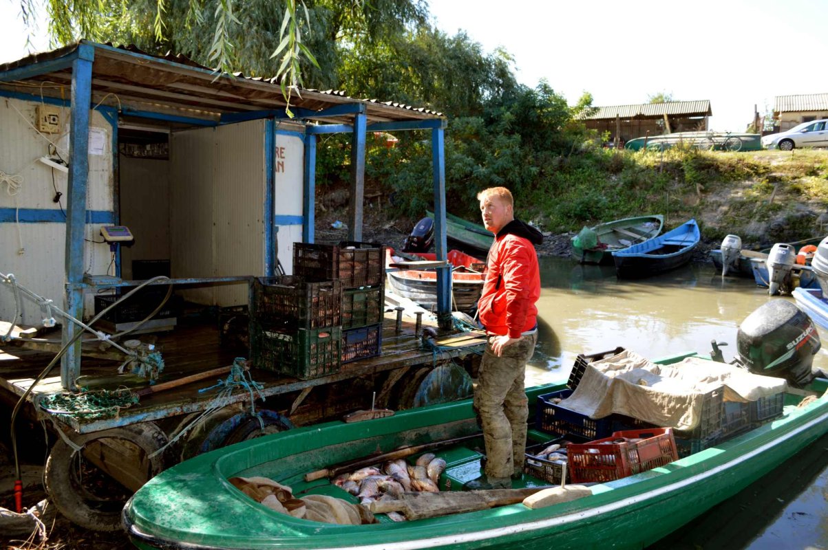 Finanțări deschise pentru pescari și proiecte de acvacultură 354062