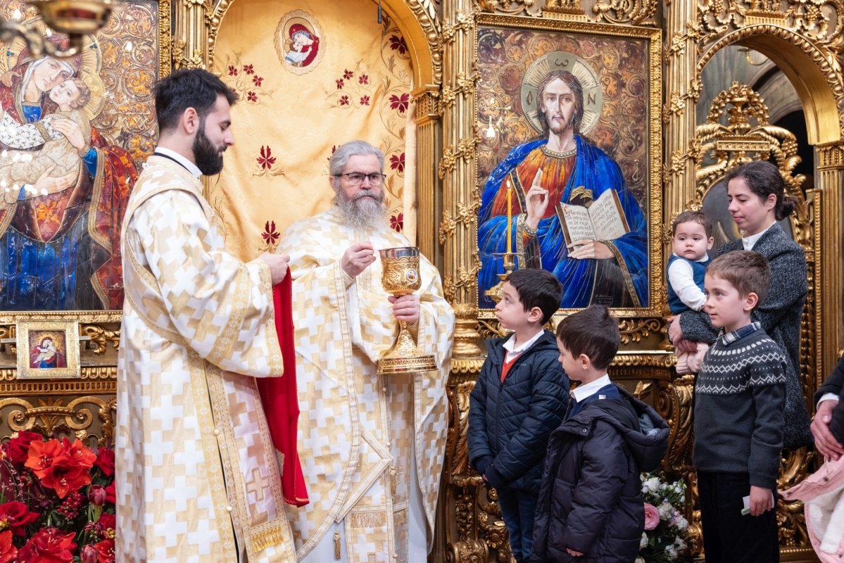 Sfinții Trei Ierarhi cinstiți la Catedrala Patriarhală 354106