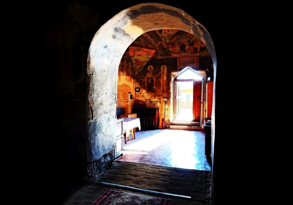 Vicleana mândrie 354897