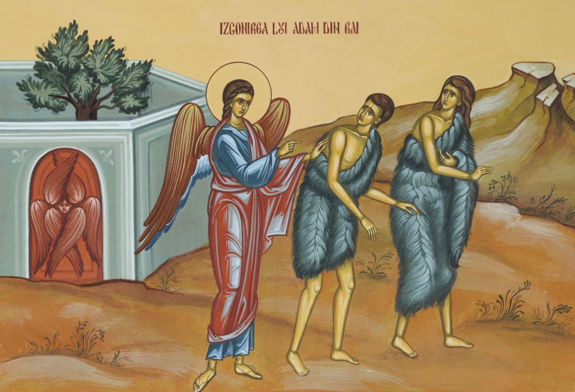 Dicționar teologic: Adam, căderea omului 355698