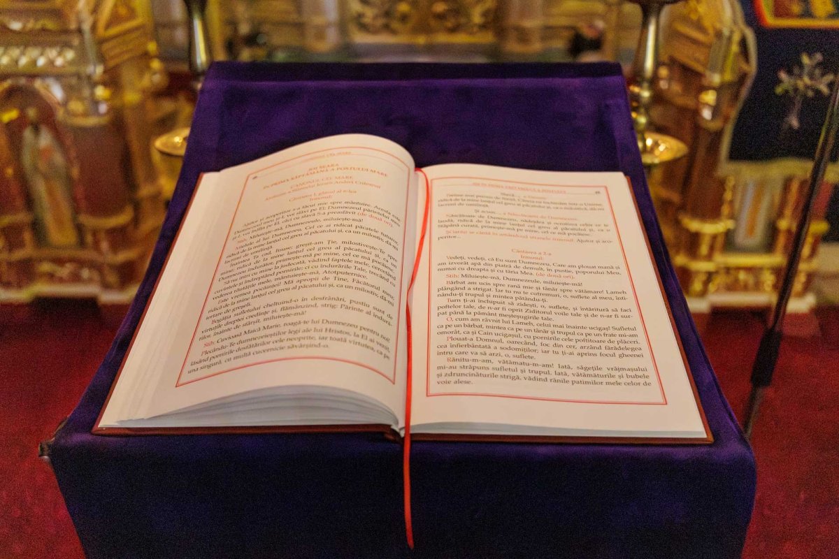 Rugăciune de pocăință în a patra zi din Postul Mare, la Iași 356259