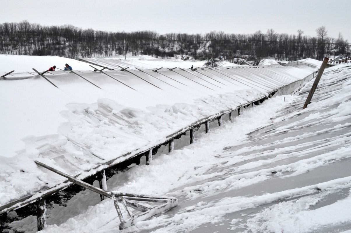 Pagube în solariile din Buzău 356280