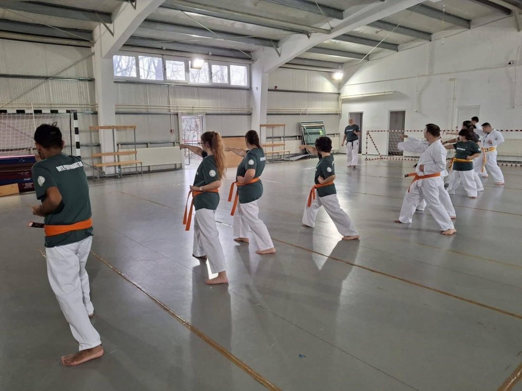 Lumina din Vatra Luminoasă 356541