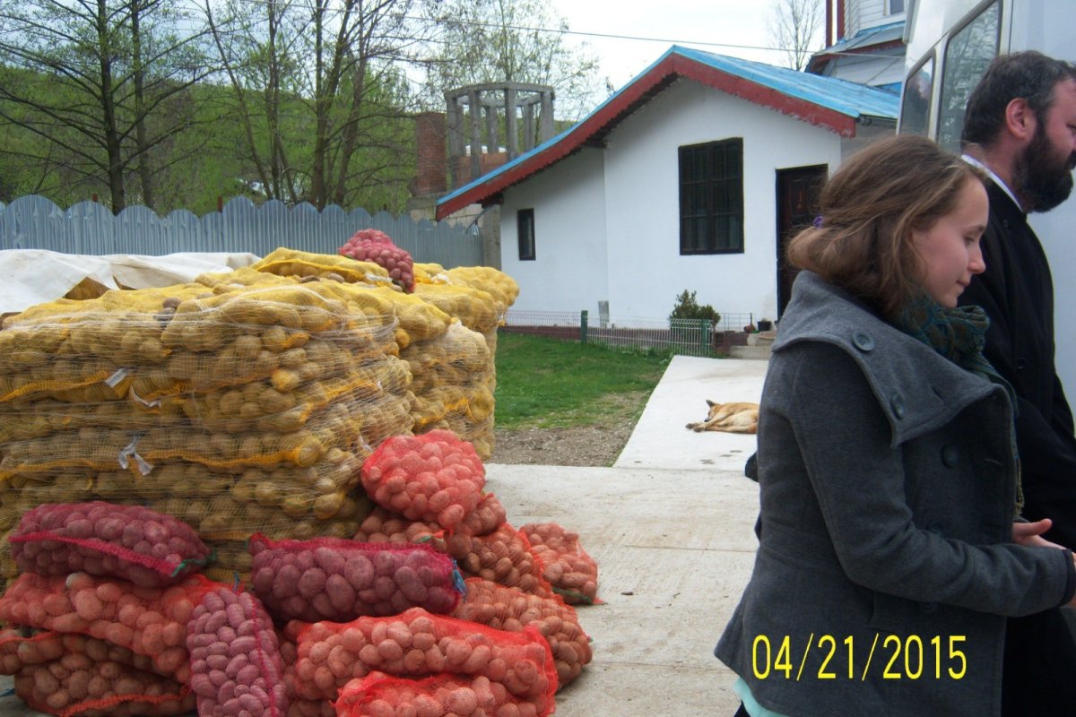 Izvorul Tămăduirii sufletești și trupești 357265