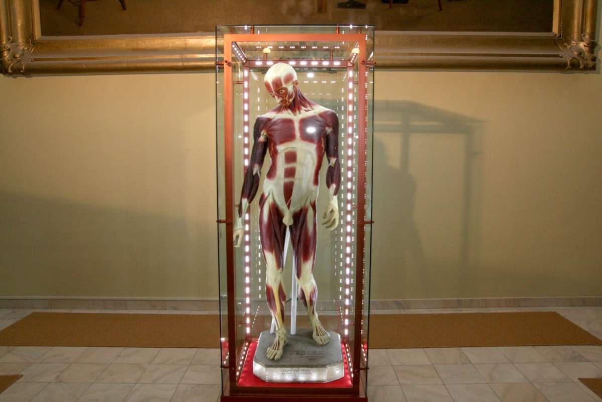 Profesorul Zaharia Samfirescu, o „punte” între Iași și Brâncuși 357421