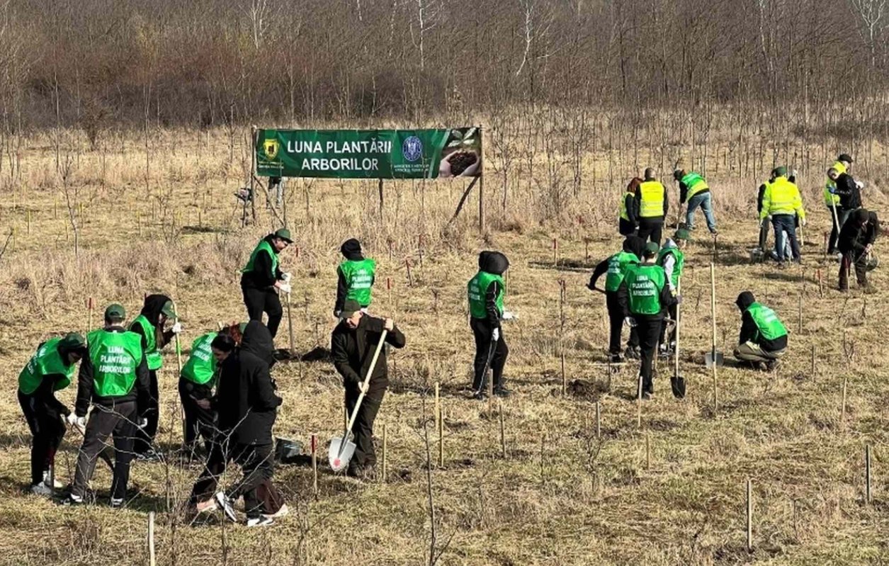Acțiune comună de plantare la Prut 357556