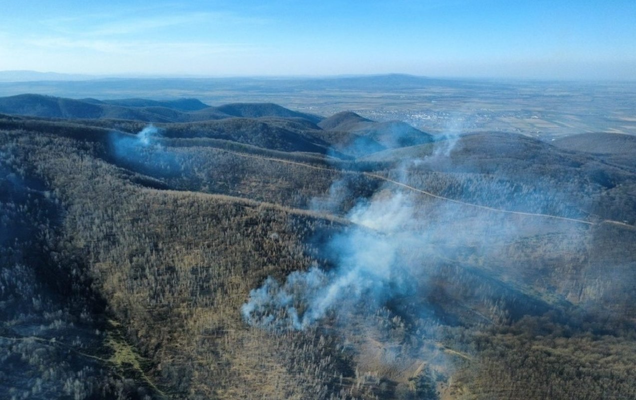 Incendii grave de vegetație în nord 357557