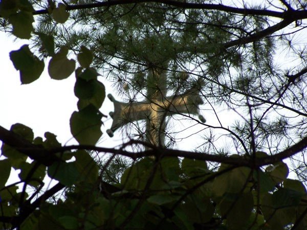 Crucii Tale ne închinăm, Stăpâne...! 357736