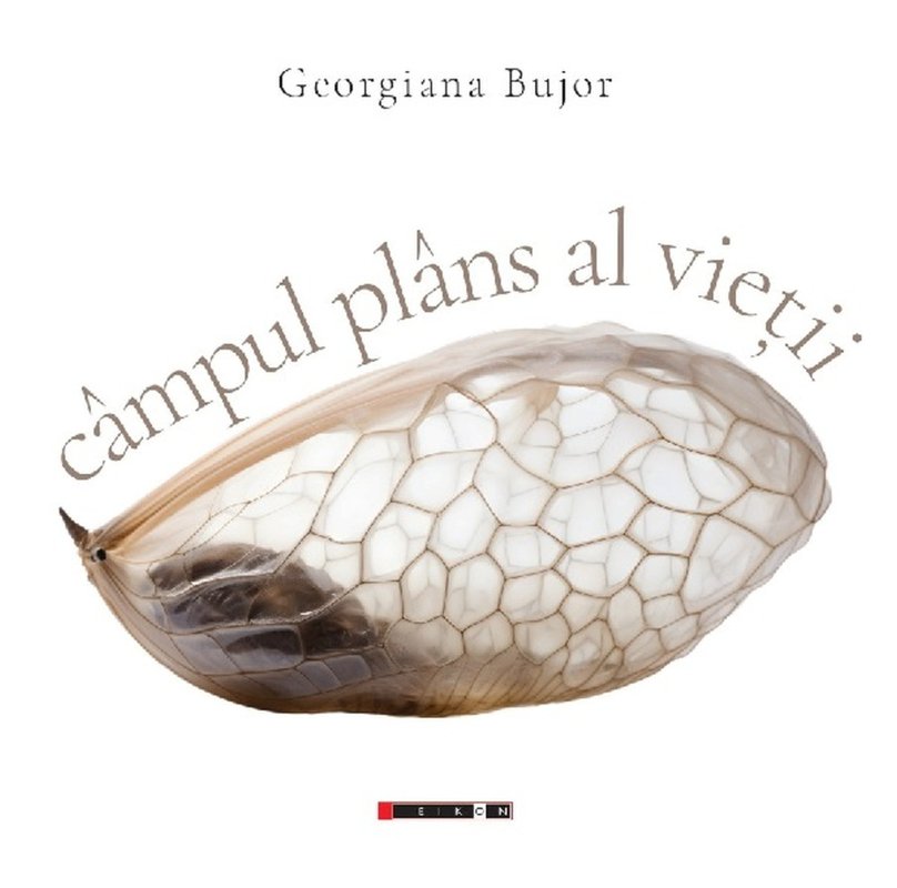 Fericiți cei ce plâng... 357663