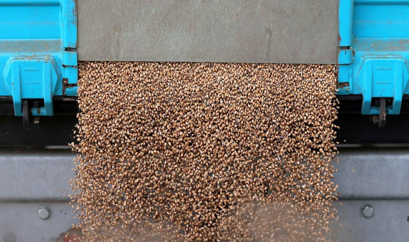 România intră pe piața agrară chineză 357837