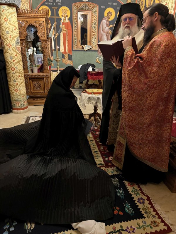 Datoriile stareţei Ambrozia de la Mănăstirea „Dintr-un Lemn” 357446
