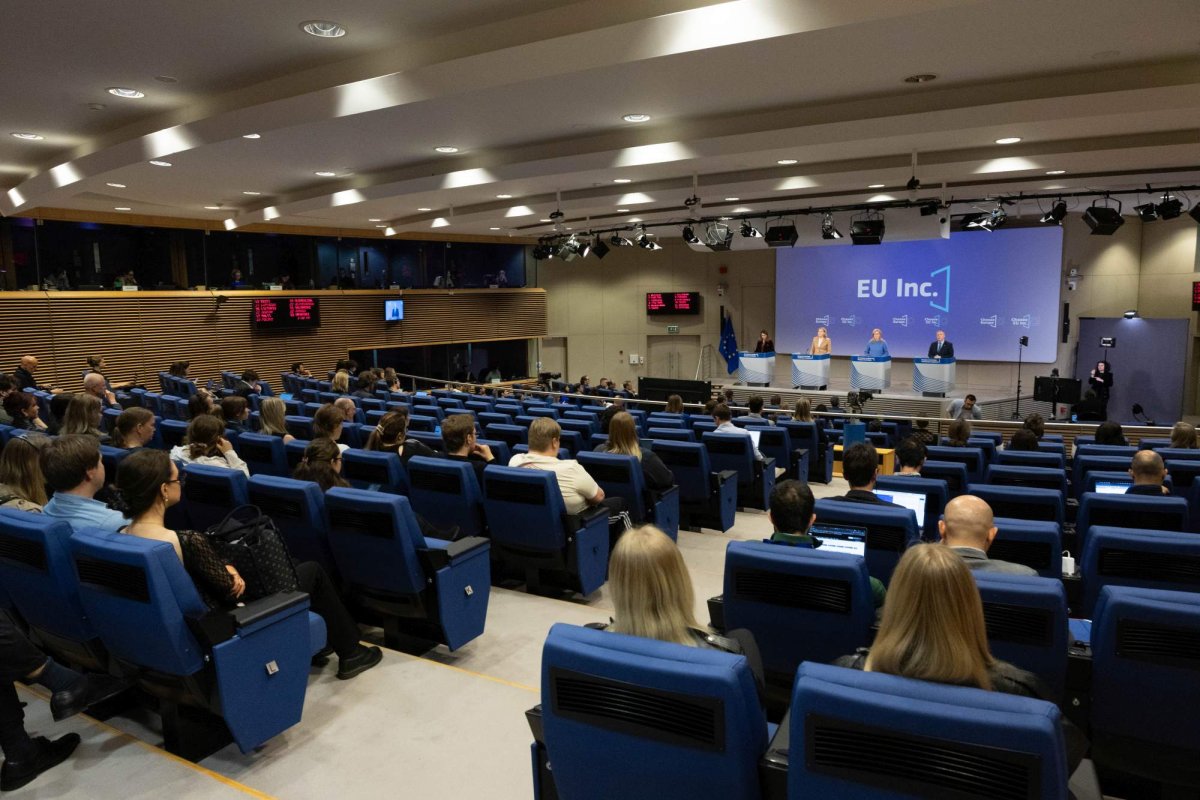 EU Inc.: Firme înființate în 48 de ore 357882