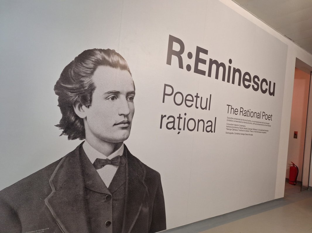 Art Safari New Museum a deschis un nou sezon 358279