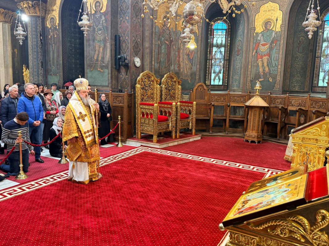 „Împărăția lui Dumnezeu se dobândește prin fapte vrednice și slujire, nu prin dorințe imperioase” 358520