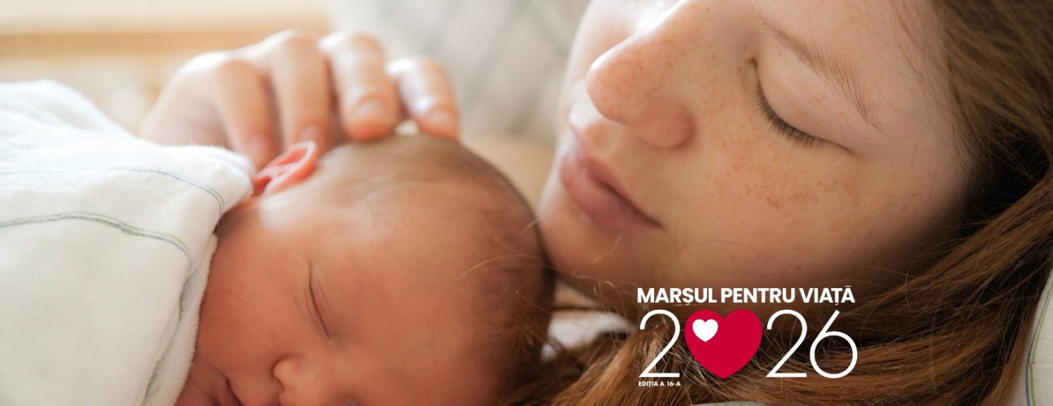 Viața este logica mea 357923