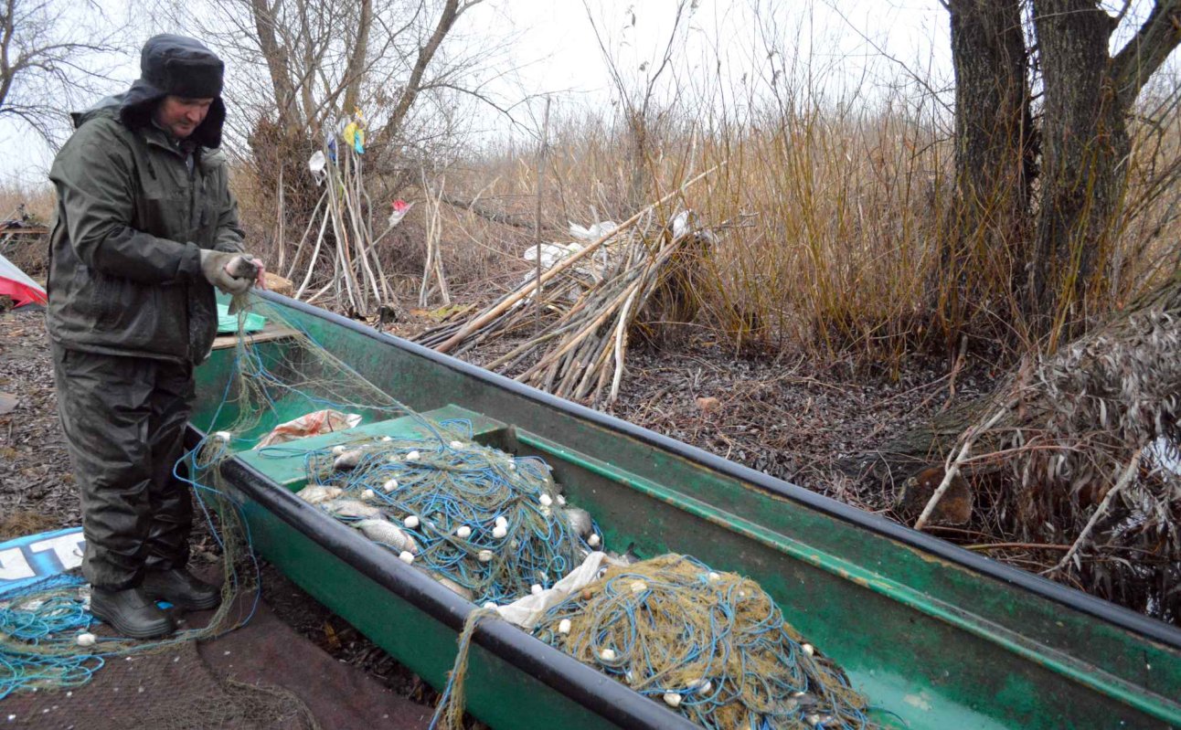 40% dintre pescari și-ar putea pierde autorizația 358880