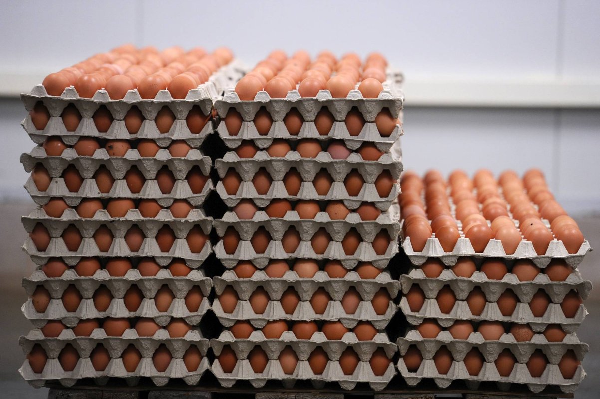 Controale drastice ale ANSVSA în piețe și supermarketuri 358877