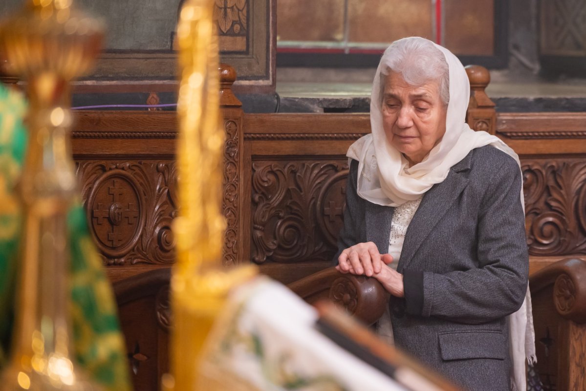 Praznicul Intrării Domnului în Ierusalim pe Colina Bucuriei 359163