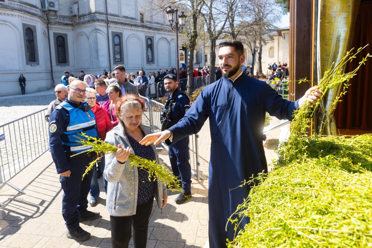 Praznicul Intrării Domnului în Ierusalim pe Colina Bucuriei 359171