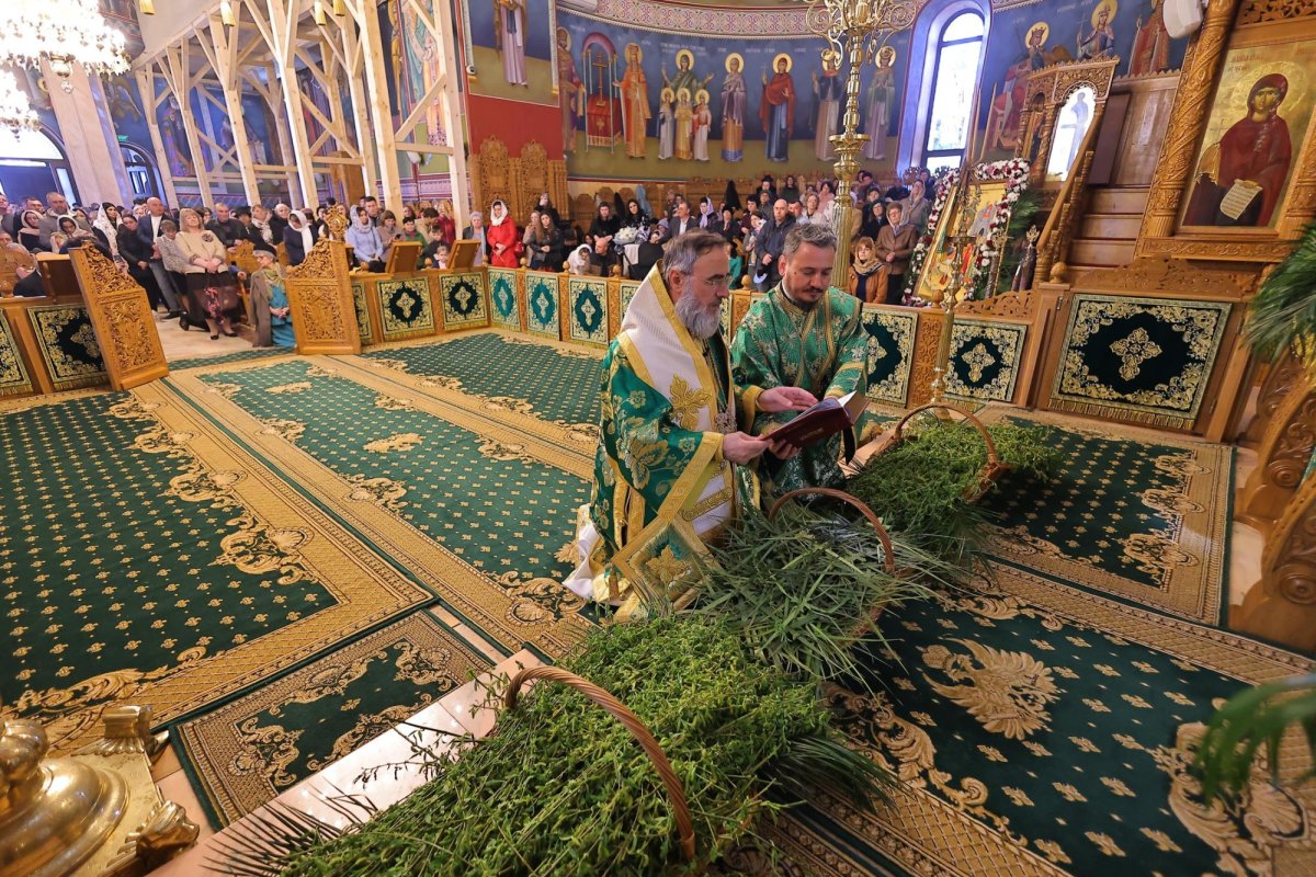 Sărbătoarea Intrării Domnului în Ierusalim în Muntenia și Dobrogea 359232