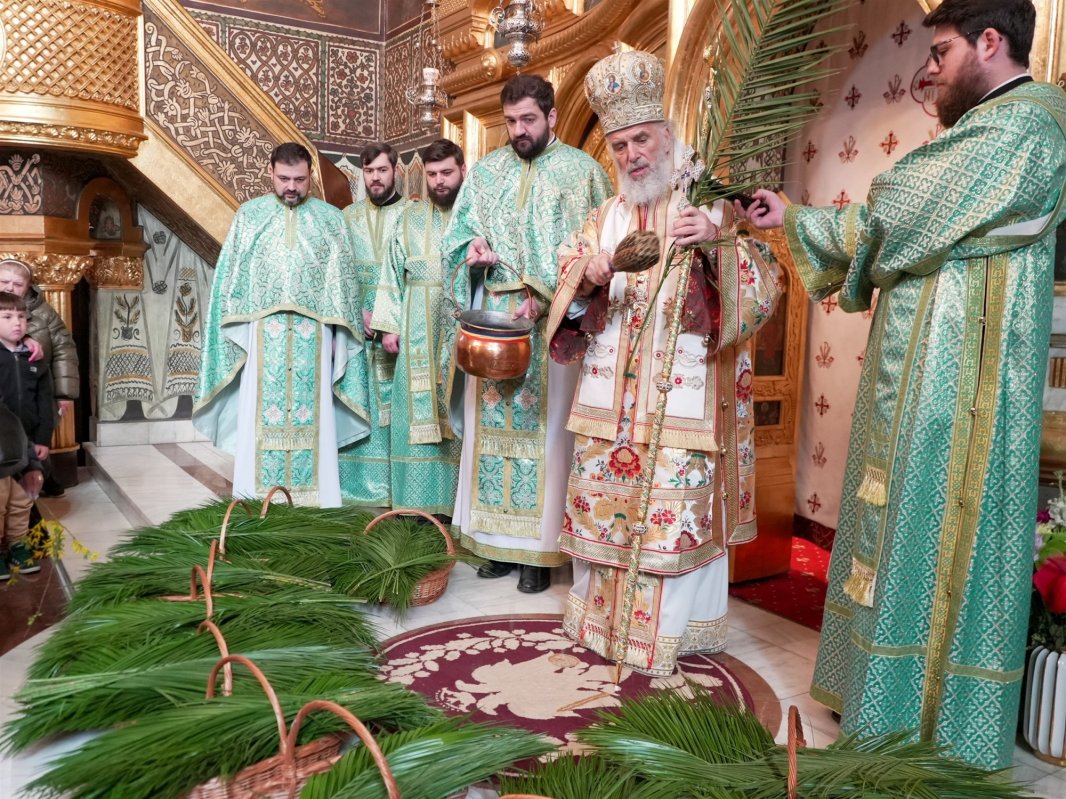 Sărbătoarea Intrării Domnului în Ierusalim în Muntenia și Dobrogea 359234
