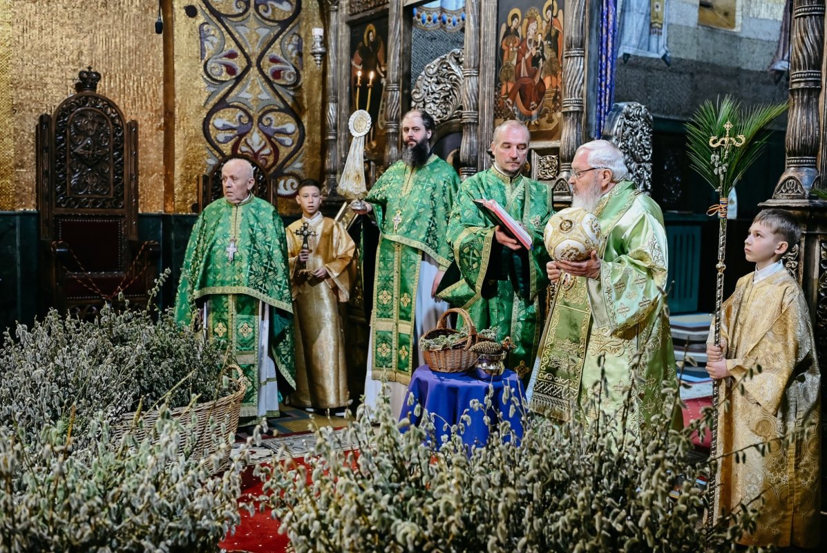 Sărbătoarea Stâlpărilor la Catedrala Mitropolitană din Cluj-Napoca 359211