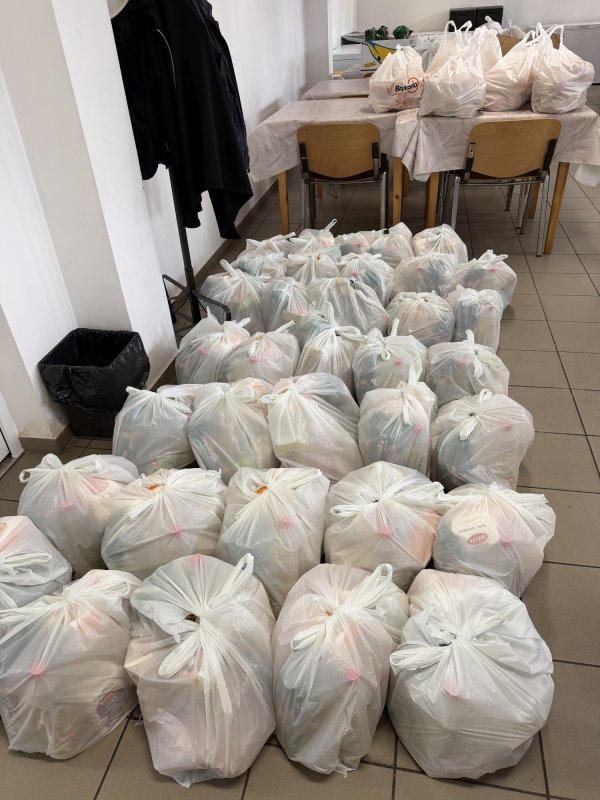 Milostenie și solidaritate față de aproapele 359448