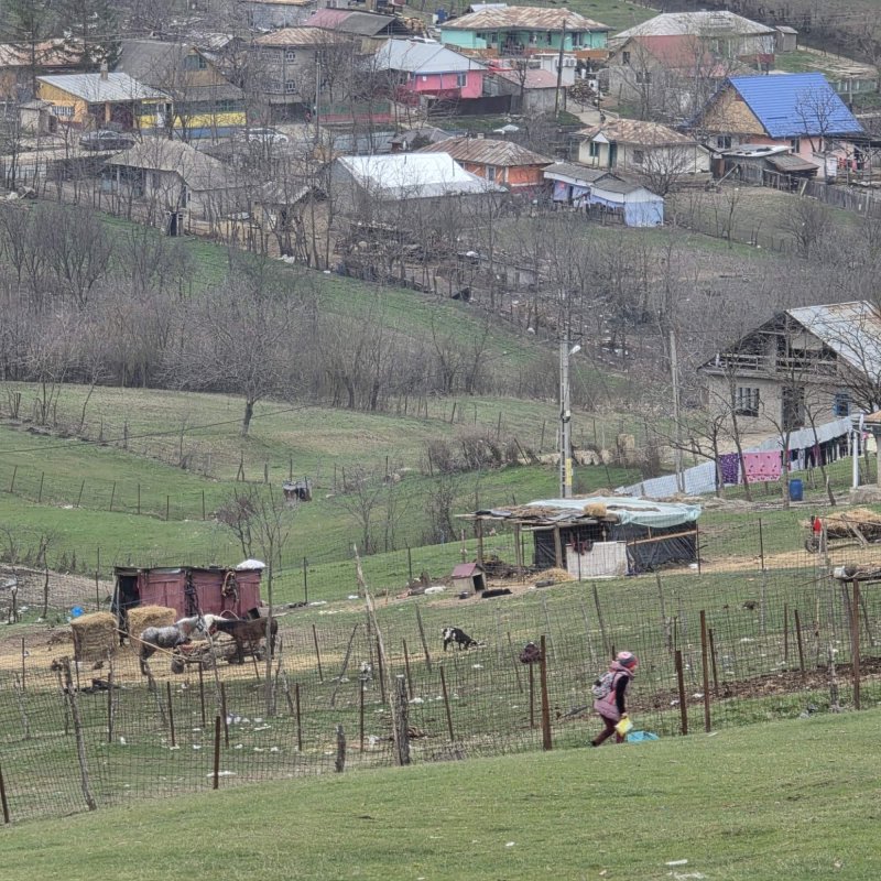 Părintele copiilor „egali în visuri” 359384