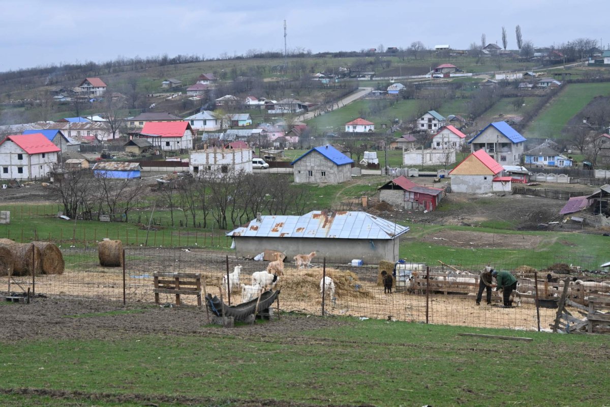 Părintele copiilor „egali în visuri” 359395