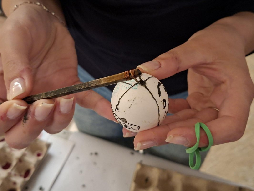 De la meşteşug la educaţie: lecţii scrise cu ceară 358851