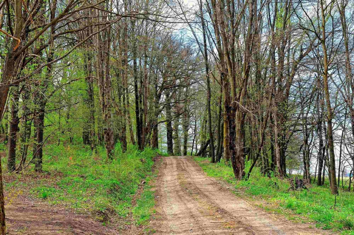 Calea către Dumnezeu 360899