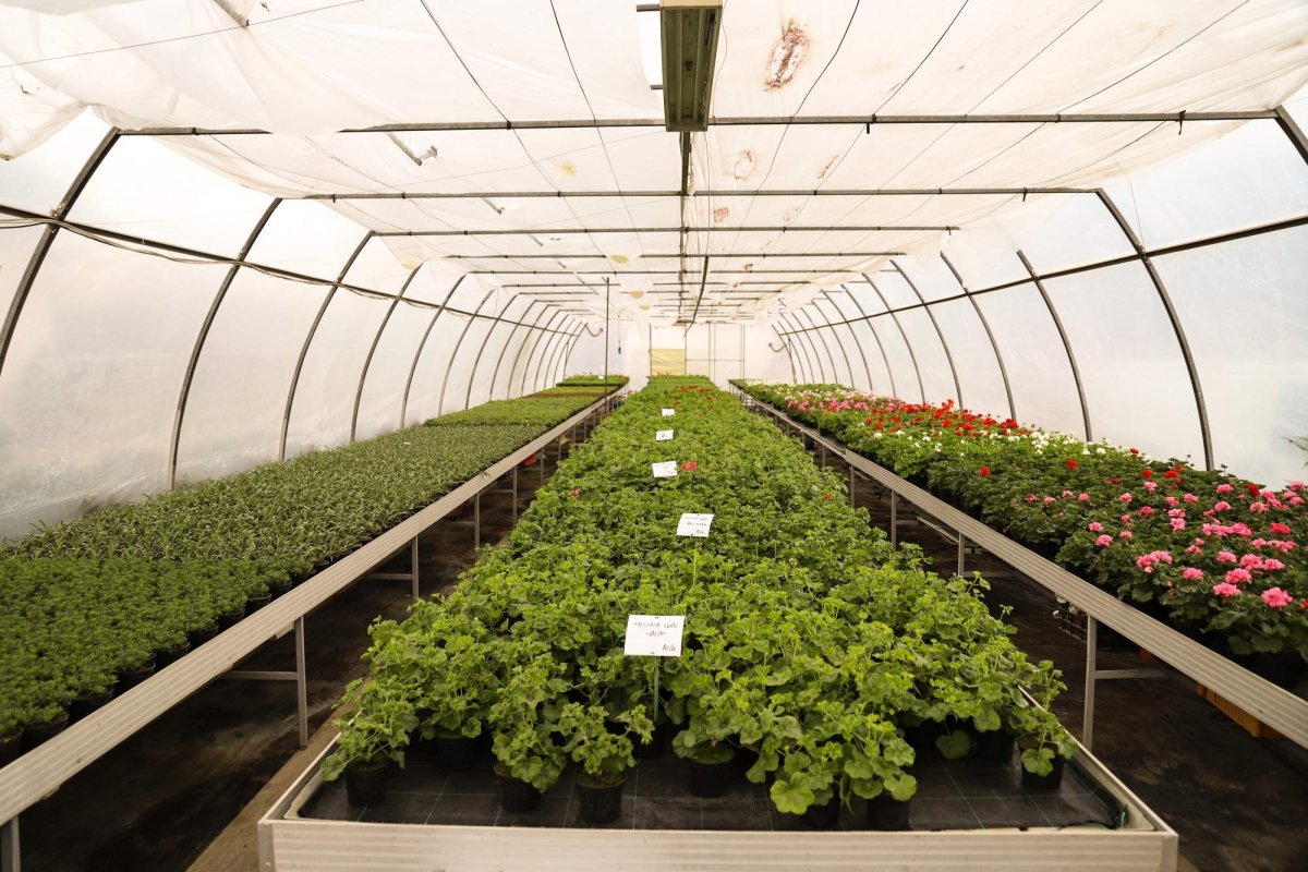 Florile credinţei din sufletul unei eleve olimpice 360260