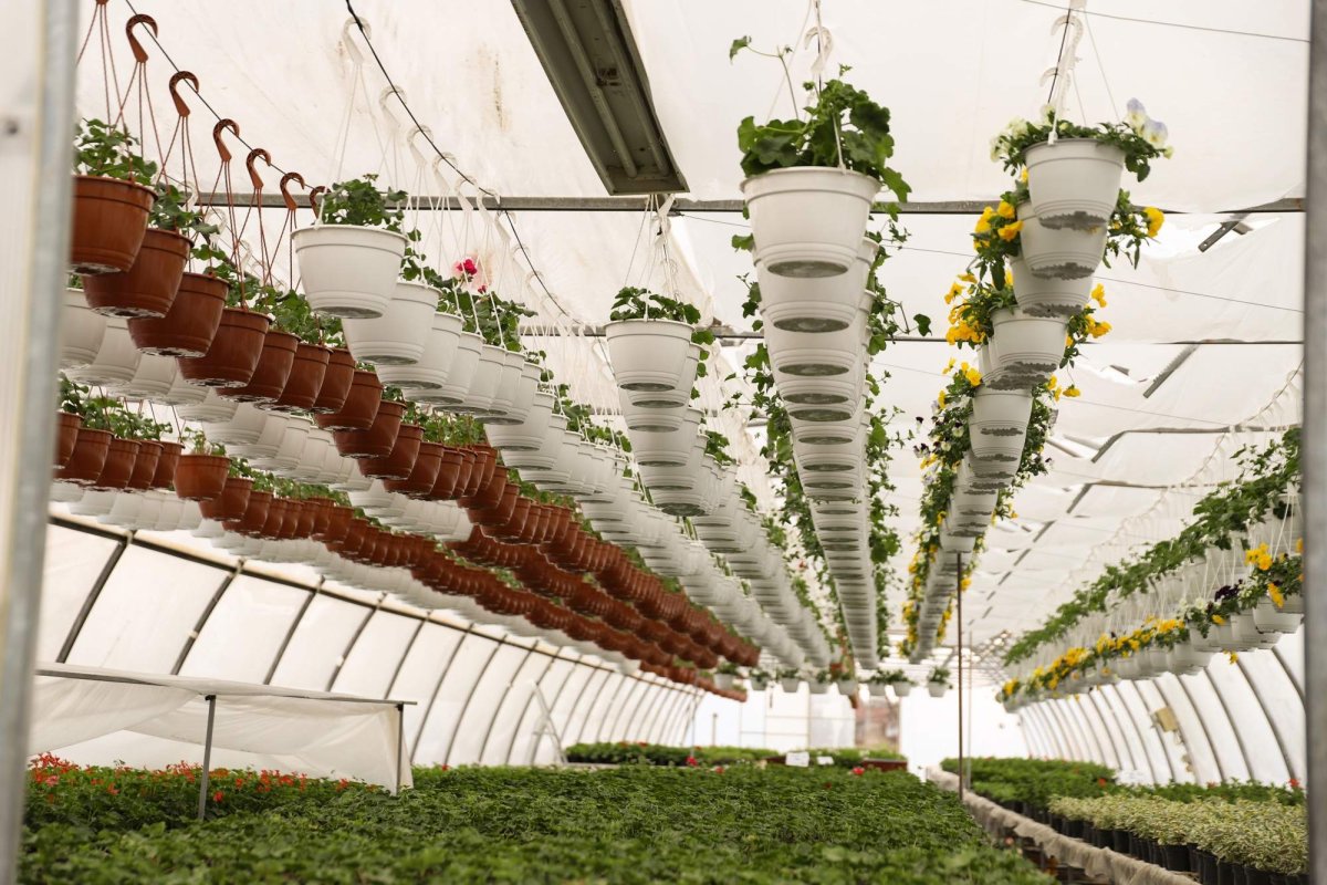 Florile credinţei din sufletul unei eleve olimpice 360262