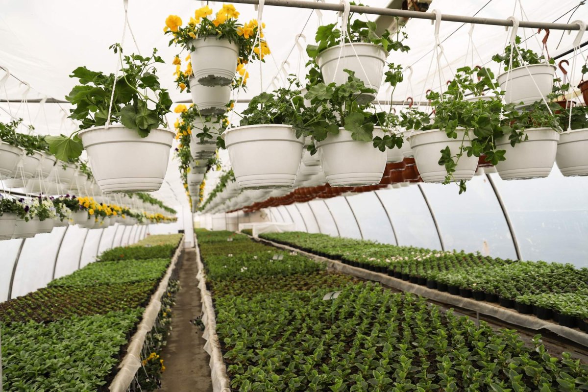 Florile credinţei din sufletul unei eleve olimpice 360272