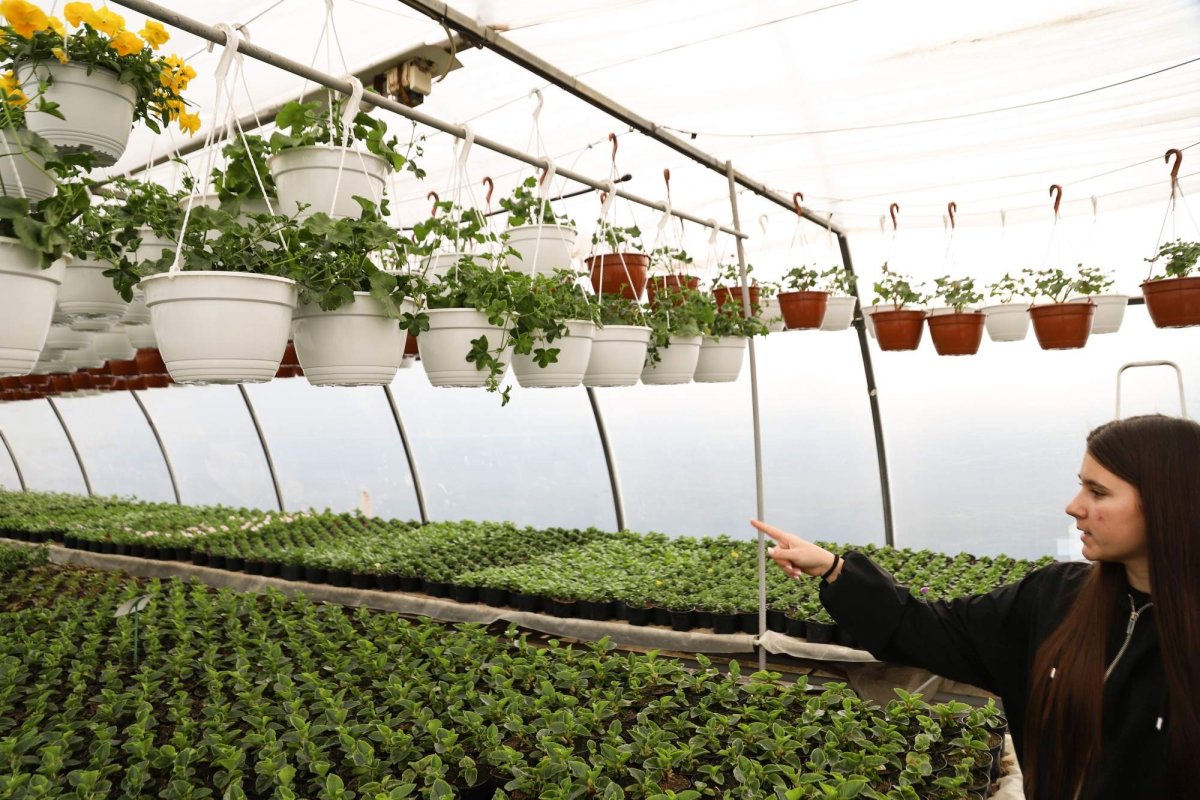 Florile credinţei din sufletul unei eleve olimpice 360273