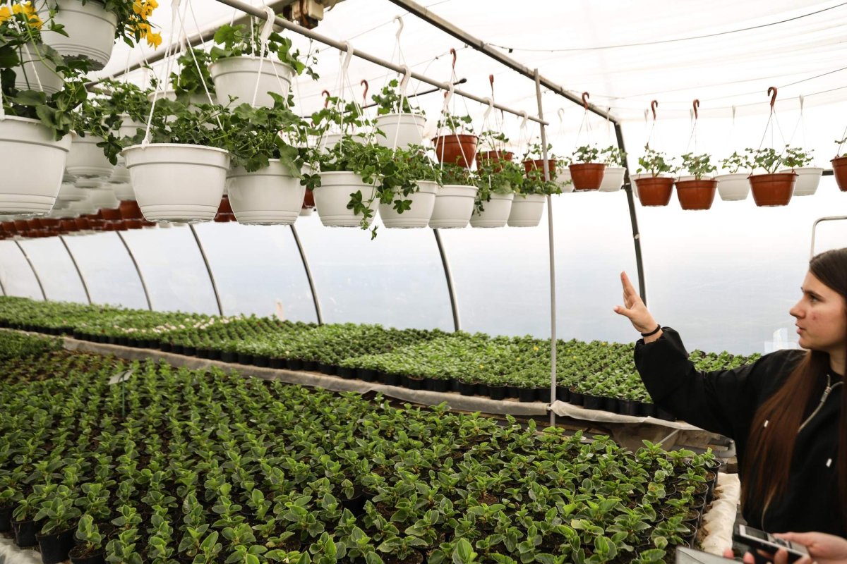 Florile credinţei din sufletul unei eleve olimpice 360274