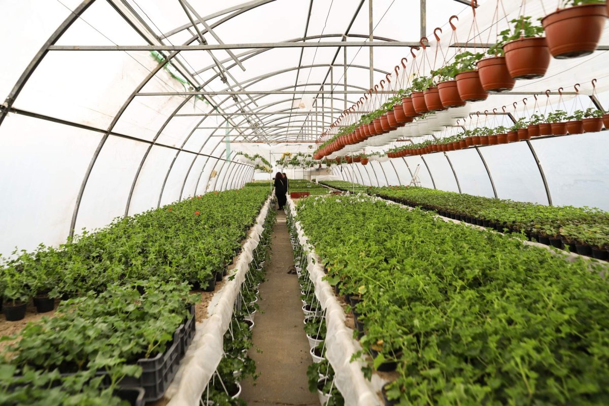 Florile credinţei din sufletul unei eleve olimpice 360277