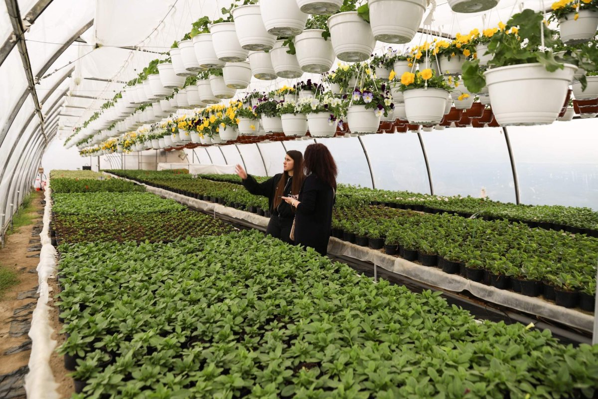 Florile credinţei din sufletul unei eleve olimpice 360278