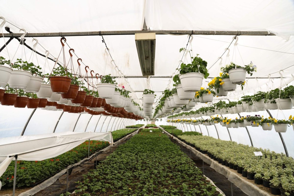 Florile credinţei din sufletul unei eleve olimpice 360286