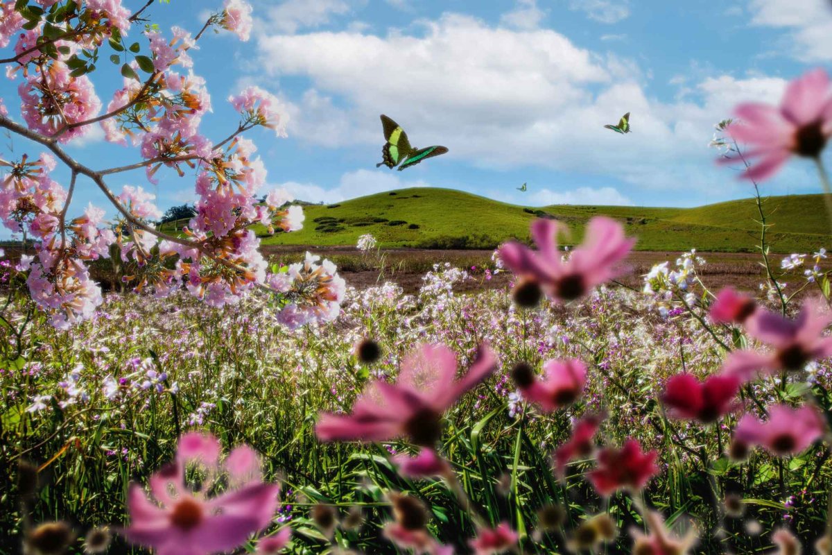 Natura, darul lui Dumnezeu pentru om 360988