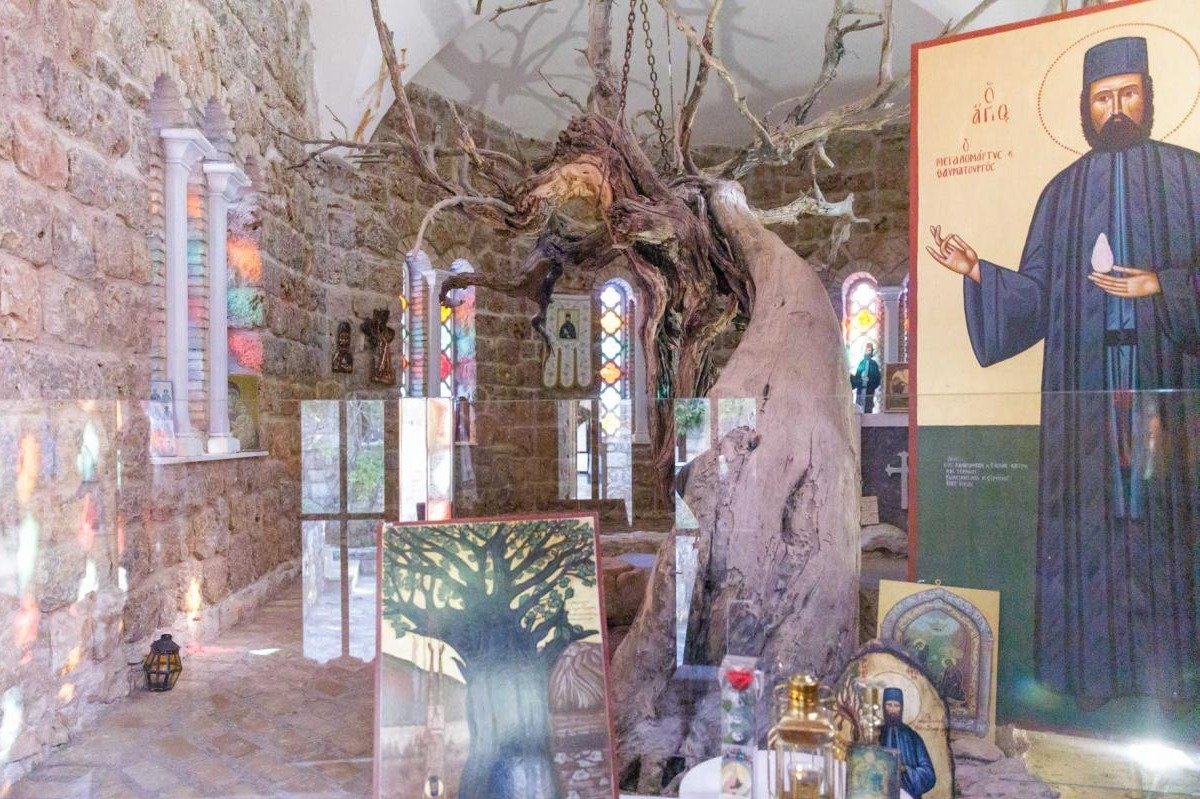 Sfântul Efrem cel Nou, răbdarea care străbate veacurile 360955