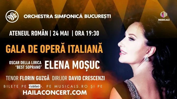 Gala de operă italiană  362408