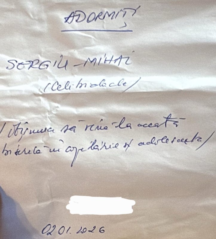 Sergiu Celibidache, omagiat în orașul în care a copilărit 362565