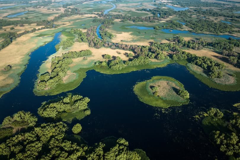 „Delta Sălbatică”, în premieră la LYNX Festival 362654
