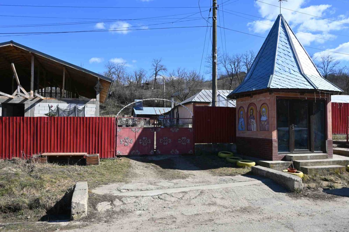Iubirea și iertarea: secretul fericirii unei familii cu zece copii  363284