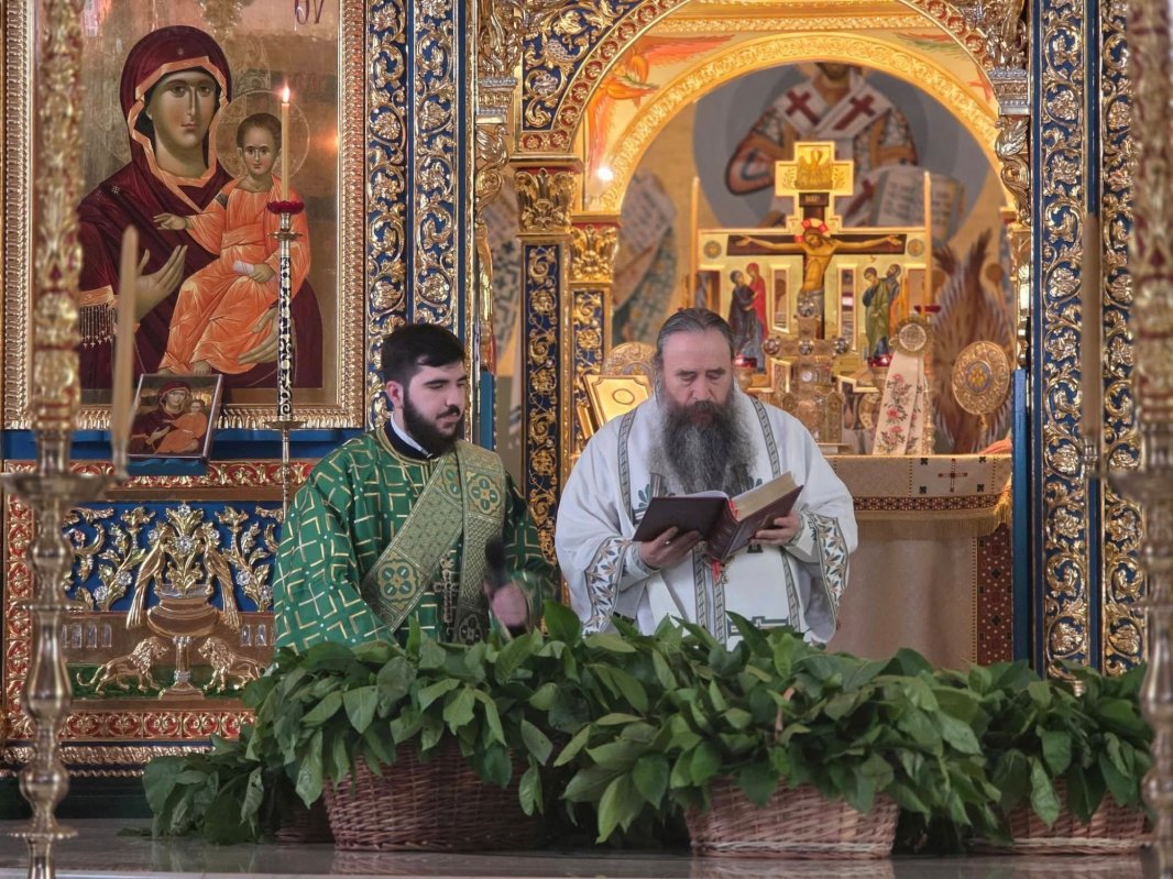 Sărbătoarea Pogorârii Sfântului Duh la Mănăstirea Pantocrator din Teleorman 364459