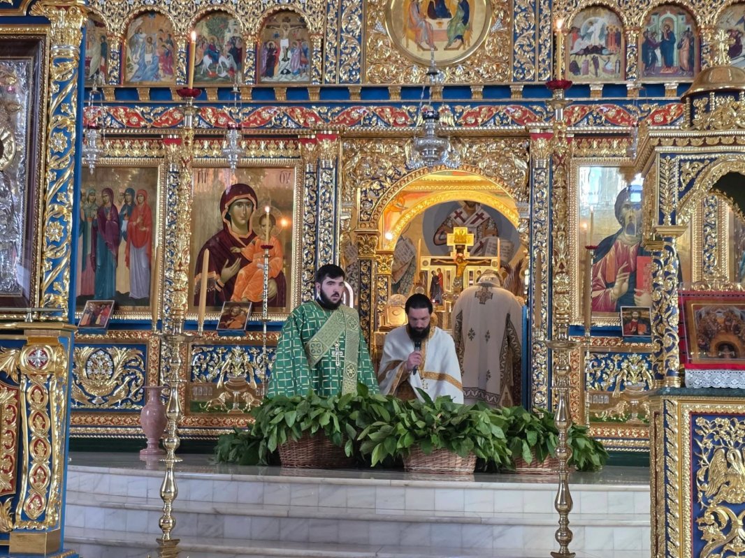 Sărbătoarea Pogorârii Sfântului Duh la Mănăstirea Pantocrator din Teleorman 364462