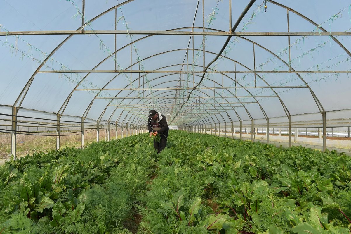 Cursuri de recalificare în agricultură 364716